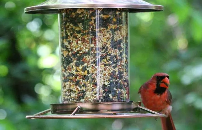 Goma gum powder for pet food thickeners