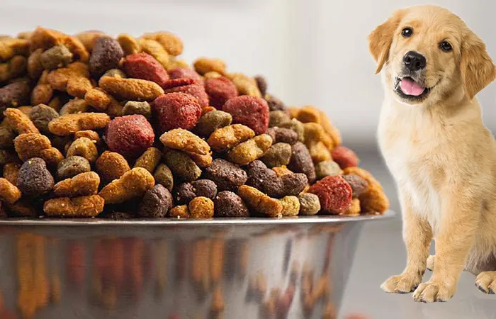 Guar gum powder for pet food