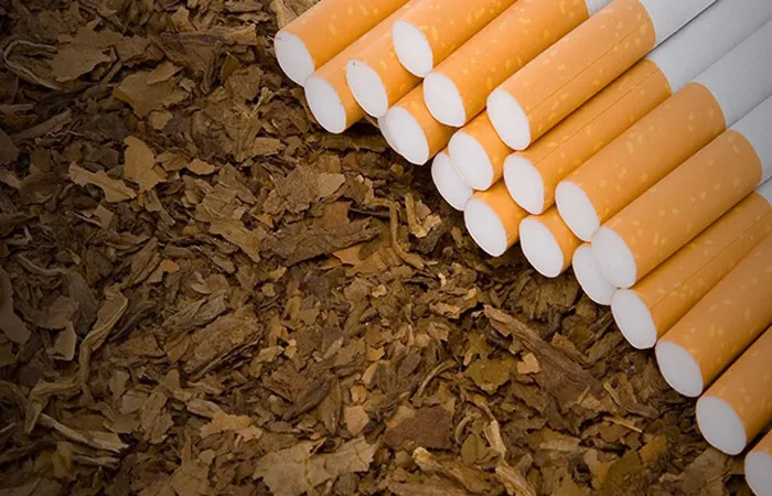 guar gum powder for tobacco industry